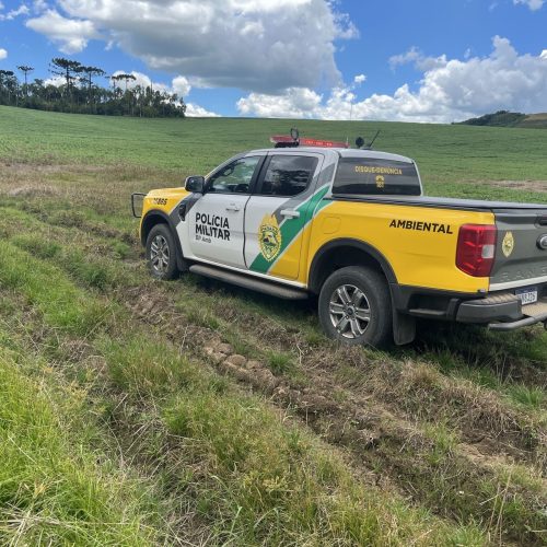 Polícia Militar Ambiental constata crimes ambientais e aplica multas que somam R$ 87 mil na região