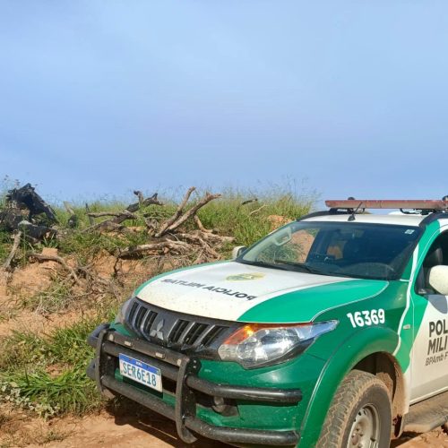 Polícia Militar Ambiental combate desmatamento ilegal na região
