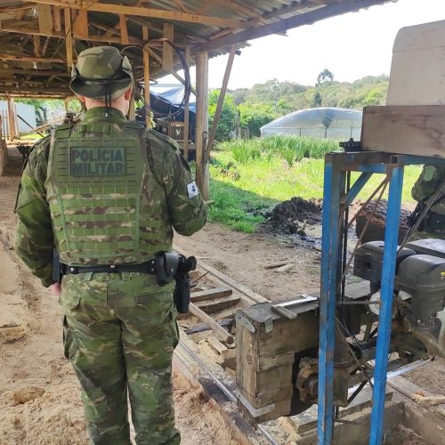 Polícia Ambiental identifica serraria sem licença ambiental no PR