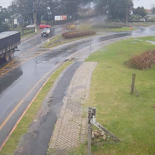 Geada negra, ventos fortes e 0°C: terça será o dia mais gelado do ano no Paraná