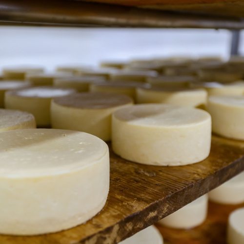 Paraná adere a convênio que concede isenção do ICMS para queijo, requeijão e doce de leite