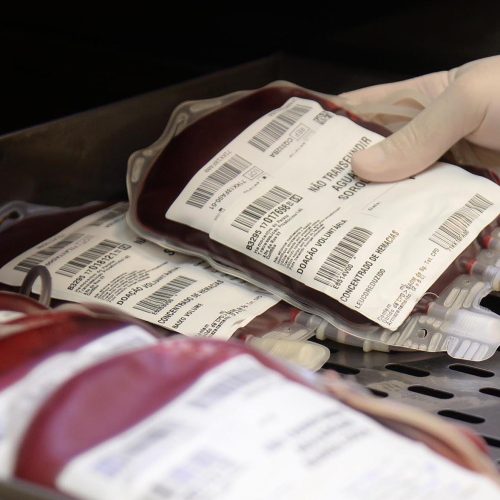 Com baixo estoque para sangues tipo O+ e O-, Paraná solicita doação de sangue