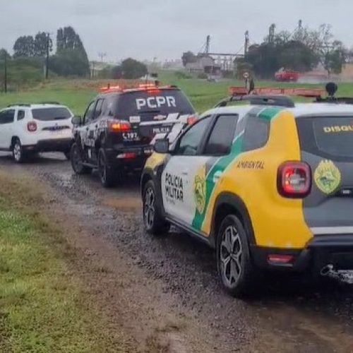 PCPR, PMPR e IAT prendem mulher por tráfico de animais no PR