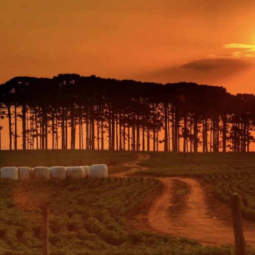 Brasil não adotará horário de verão neste ano