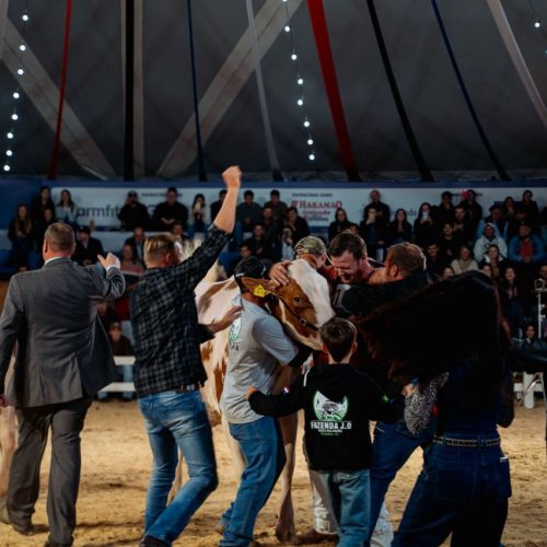 Carambeí volta ao topo no Agroleite com bicampeonato na pista de julgamento