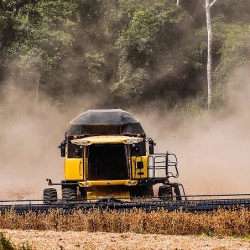 Colheita de soja entra na reta final no Paraná com resultados abaixo do esperado