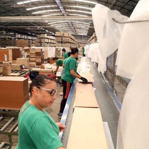 Paraná lidera contratação de mulheres e jovens na Região Sul em 2025