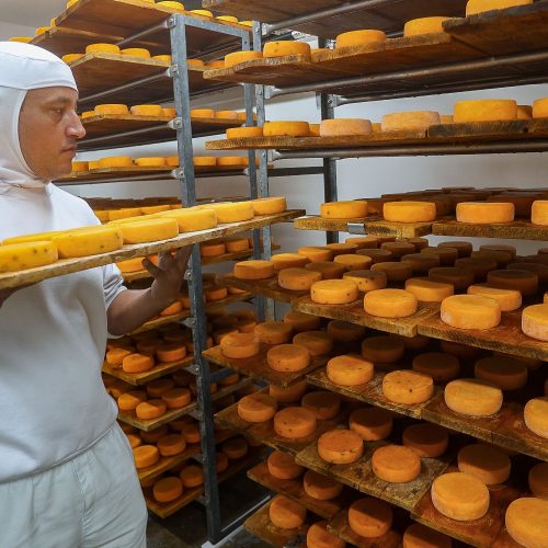 107 mil novos empregos em 78% das cidades: Paraná é destaque nacional nos últimos 12 meses