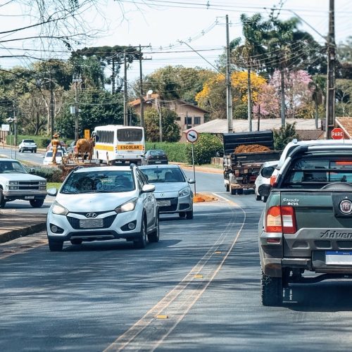 Saiba mais sobre as novas regras nacionais para tirar a CNH