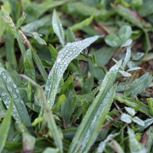 Carambeí bate recorde de frio neste início de semana