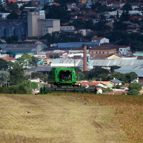 Paraná tem terceira maior alta do País na previsão da safra de setembro, aponta IBGE