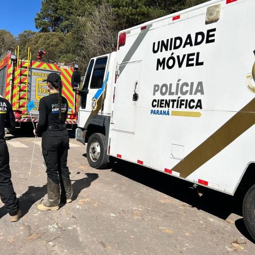 Polícia Científica do Paraná implementa perícia em campo com estrutura pioneira no País