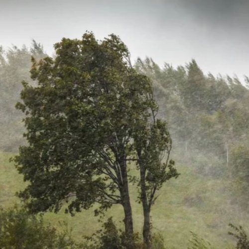 Sete estados entram em alerta de vendaval nesta terça (11)