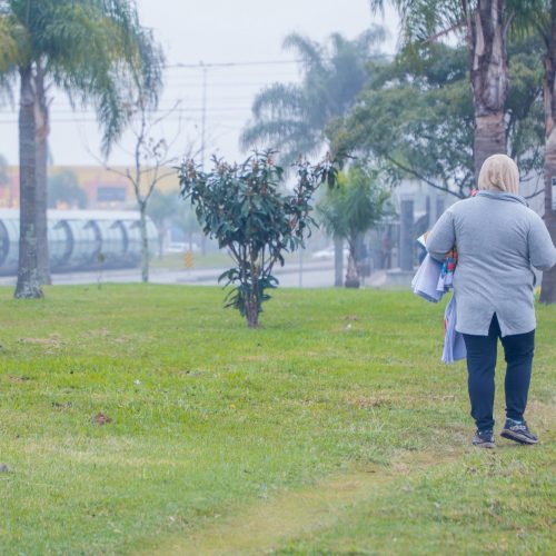 Julho começa com temperaturas negativas no Paraná, registra o Simepar