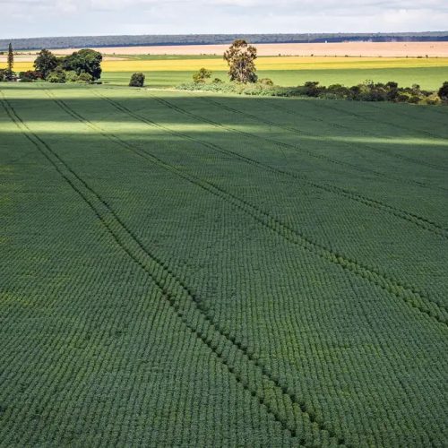 Senado aprova plano para fabricação de fertilizantes no Brasil