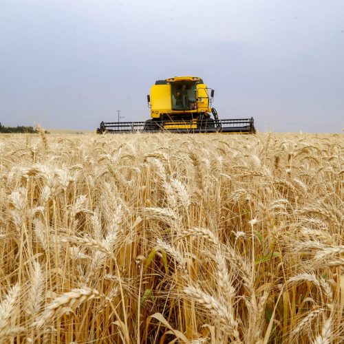 Secretaria da Agricultura orienta produtores do Paraná sobre mudanças no Plano Safra