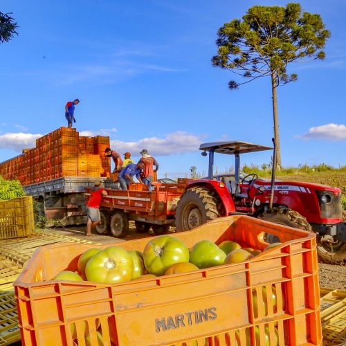 Preços de alimentos e bebidas tiveram queda de 1,29% em julho no Paraná