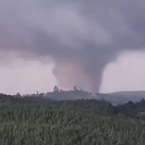 TCE-PR aponta Carambeí entre cidades mais estruturadas para enfrentar desastres climáticos
