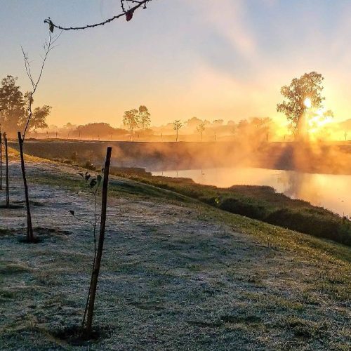 Massa de ar polar faz termômetros despencarem para 1°C no Paraná
