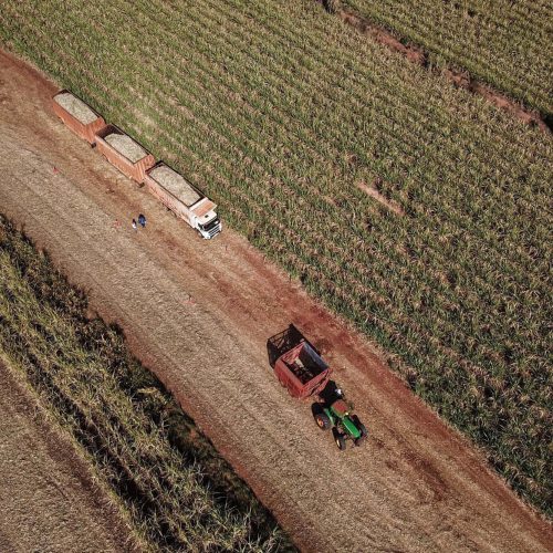 Paraná cresce três vezes acima da média nacional em agosto, aponta Banco Central