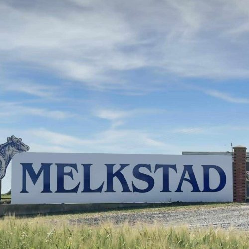 Fazenda Melkstad abre novas vagas de emprego em Carambeí