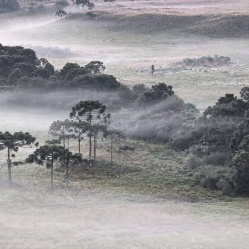 Onda de frio vai derrubar temperaturas em Carambeí; veja quando