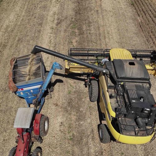 Venda de soja impulsionou a balança comercial do Paraná no primeiro quadrimestre