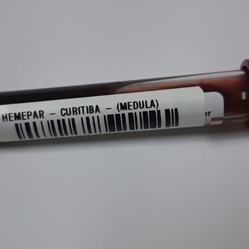 Fevereiro Laranja: mês da conscientização sobre leucemia reforça importância do diagnóstico