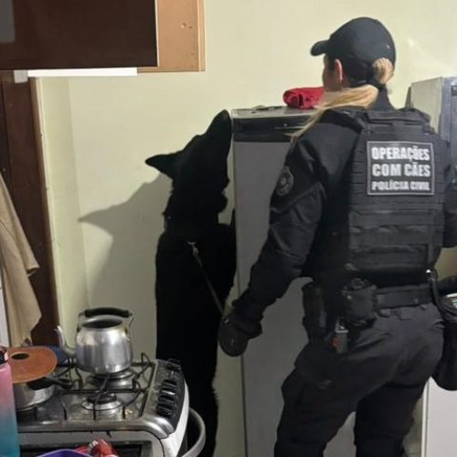 Forças de segurança prendem 21 pessoas em operação contra organização criminosa