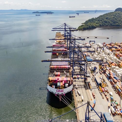 Porto de Paranaguá concentra quase metade das exportações de frango do Brasil