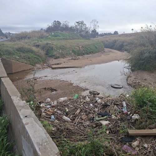 PRVias retira dois caminhões de pneus descartados do Rio Ronda em PG
