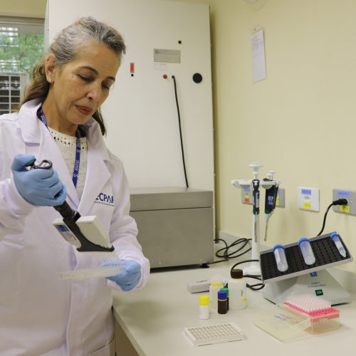 Alimentação escolar: controle rigoroso garante cardápios nutritivos e saudáveis no Paraná