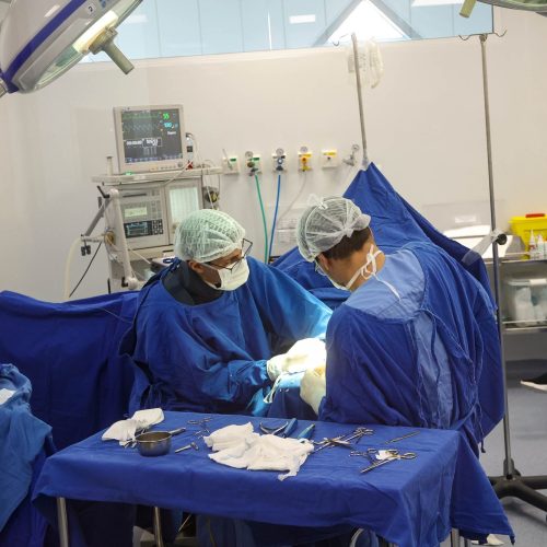 Com 786 mil cirurgias eletivas, Paraná alcança recorde de procedimentos em 2025