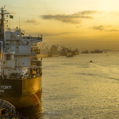 Produtores brasileiros começam a sentir efeitos da taxação dos EUA