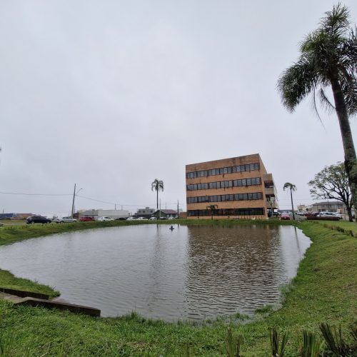 Pesca divertida no Paço anima as crianças de Carambeí neste sábado