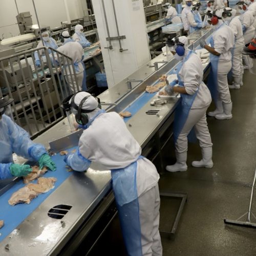 Retomada das exportações de frango para a Malásia terá reflexo positivo no Paraná