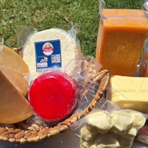 Com 165 medalhas, Paraná se destaca novamente no Prêmio Queijo Brasil