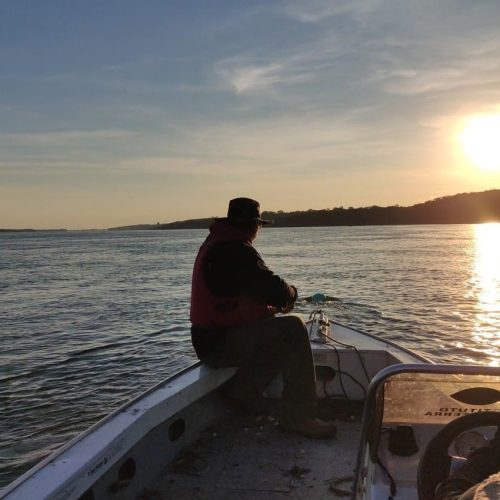 Piracema: restrição de pesca começa neste sábado e vai até 28 de fevereiro no Paraná