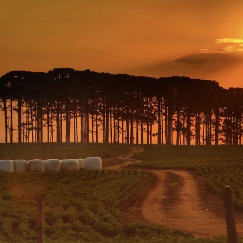 Outono e inverno: céu laranja pode indicar concentração de poluentes causada pela inversão térmica