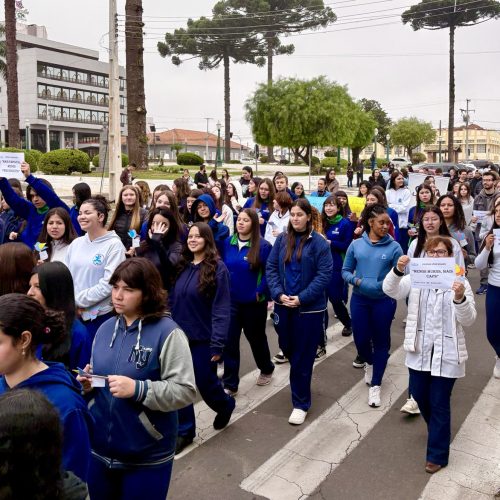 Caminhada em prol da Luta Antimanicomial percorre ruas centrais de Castro