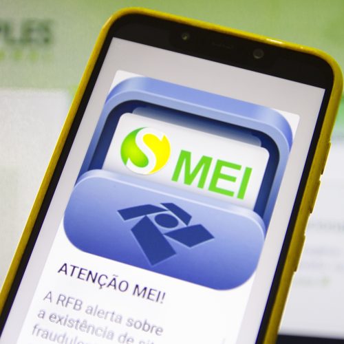 Prazo para envio da declaração anual do MEI termina neste domingo