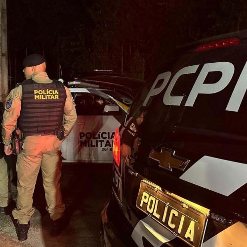 PCPR deflagra operação com 105 mandados contra tráfico nos Campos Gerais