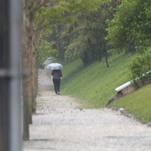 Frio fora de época: outubro registrou até 2°C abaixo da média histórica no Paraná