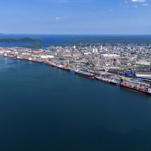 Entre navios e manguezais, biodiversidade de peixes se destaca na Baía de Paranaguá