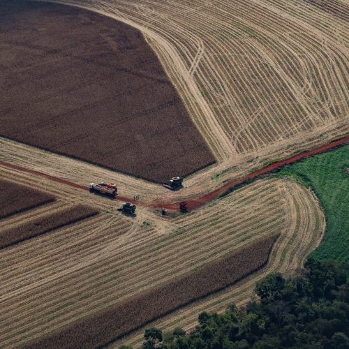 Paraná teve maior crescimento econômico do Brasil nos primeiros cinco meses de 2025