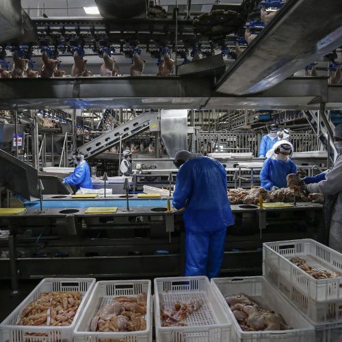Paraná retira carnes de aves cozidas da ST e aumenta competitividade do setor