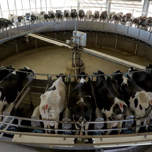 Governador sanciona lei que proíbe reconstituição de leite em pó importado no Paraná