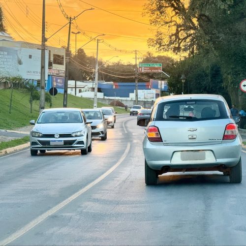 Detran-PR lança página de estatísticas para consultas sobre veículos e condutores