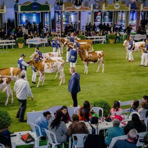 Carambeí sediará ExpoFrísia 2026 com nova data