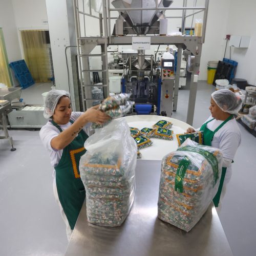 Com 42 mil empregos, Paraná lidera abertura de vagas para mulheres na região Sul